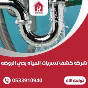 كشف تسربات المياه بحي الروضة