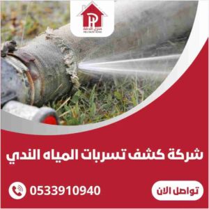 كشف تسربات المياه بحي الندي