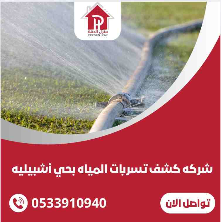 شركة كشف تسربات المياه بحي أشبيليه 31 شركة كشف تسربات المياه بحي أشبيليه
