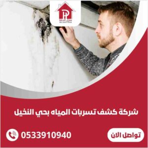 كشف تسربات المياه بحي النخيل