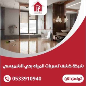 كشف تسربات المياه بحي الشميسي