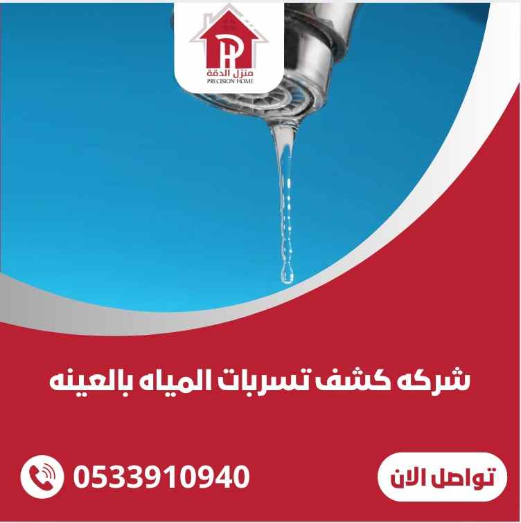 شركة كشف تسربات المياه بالعيينه 3 WhatsApp Image 2025 03 11 at 2.17.39 AM 11zon